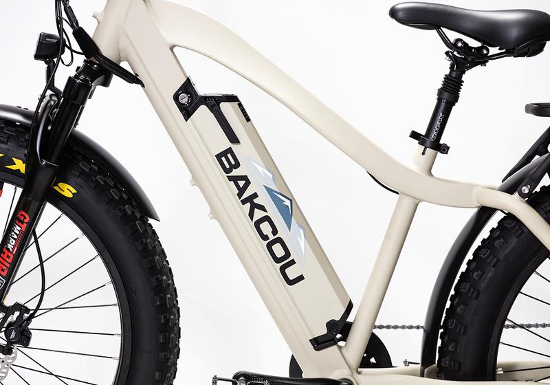 Bakcou E Bikes Flatlander Full Suspension Electric Bikes | 750W Rear Hub Motor | 48V Battery