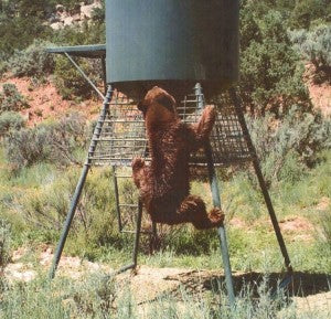 Outback Wildlife Corn Feeders | Multiple Size Options 600# to 3000# | Lid Opening Size 16" Square