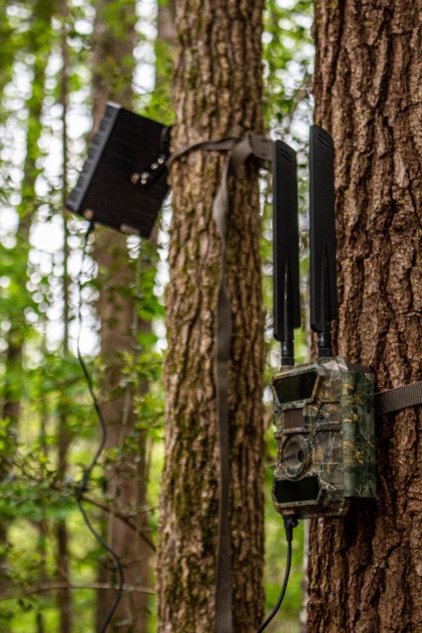 WiseEye Solar Charger | Model SC5000 | Width 9" | Capacity 5000mAh | Length: 8" | For Hunting Cameras