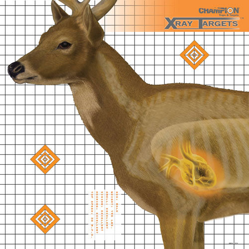 Champion X-ray Target Deer - 25"x25" 6-pack