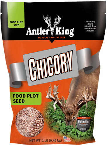 Antler King® | Chicory 1 lb Bag | Perennial Food Plot Seed | For 1/4 Acre
