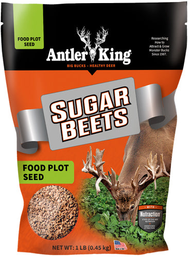 Antler King® | Sugar Beets 1 lb Bag | Annual Food Plot Seed | For 1/8 Acre