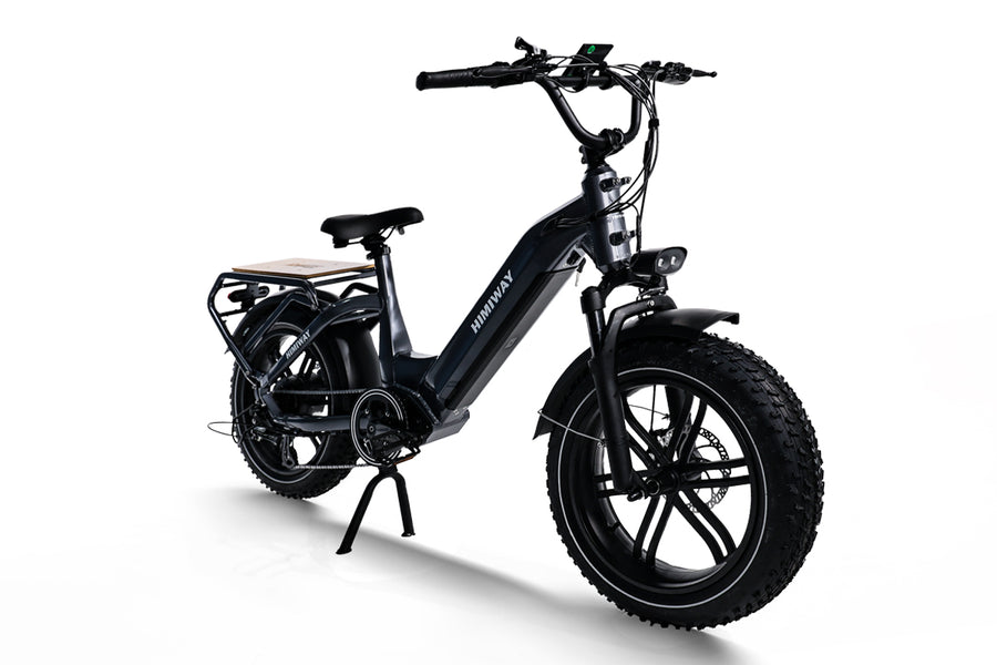 HIMIWAY Big Dog Electric Cargo Bike | 750W Motor | 48V 20Ah
