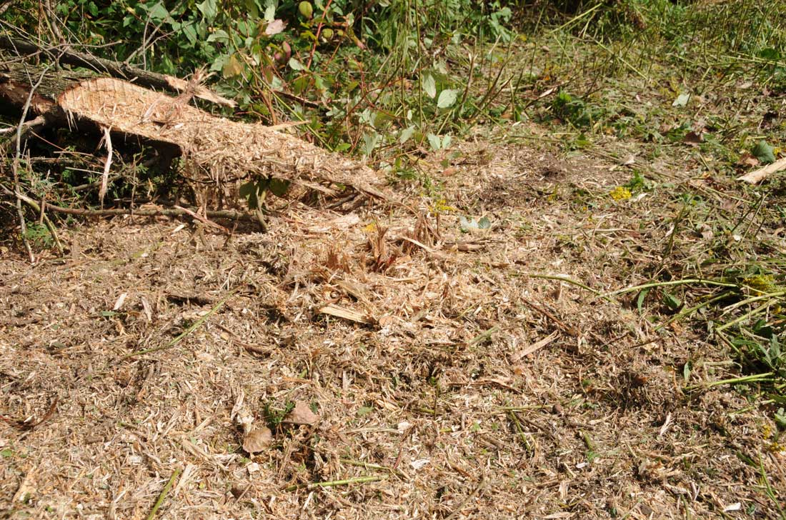 Baumalight Fixed Tooth Mulcher | Model MP-348 | 3-PT Hitch | Cutting Width 48" | Horsepower 25 To 40 HP| For Tractors