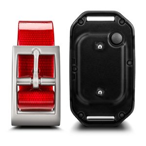 Garmin PT 10 Dog Device Pro Trainer Dogs