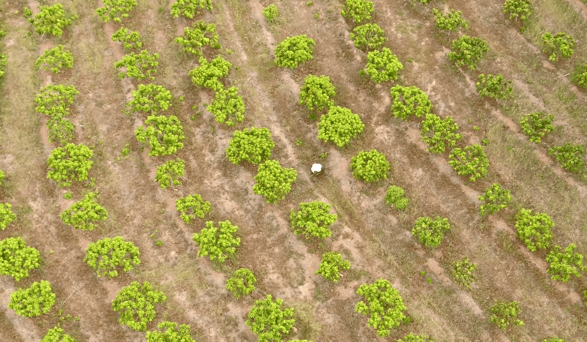 XAG R150 Autonomous Tractor (Sprayer) Ground Vehicle for Agriculture