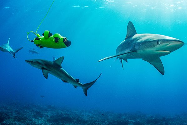 FIFISH V6 Underwater Drone Robot Bundle