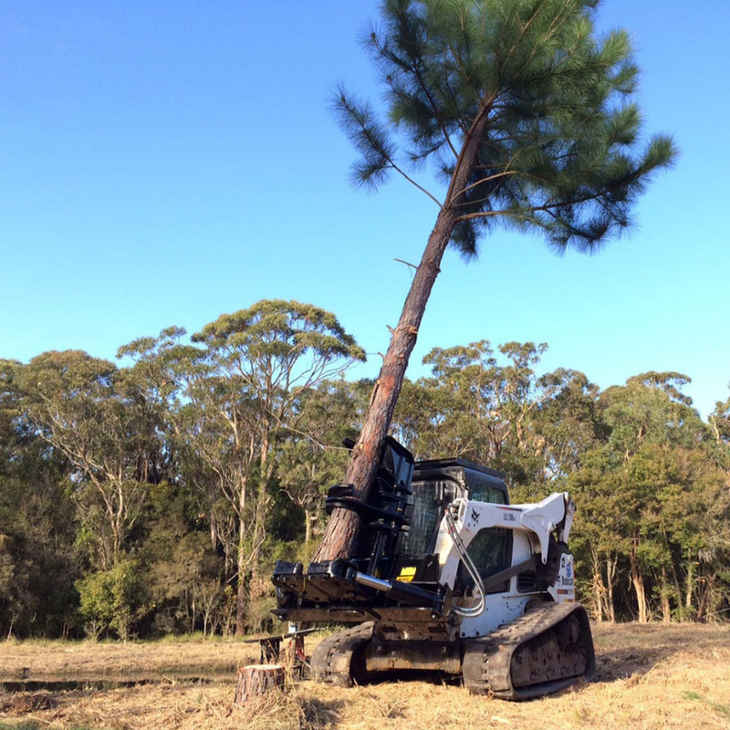 Maxx Skid Steer Tree Shear