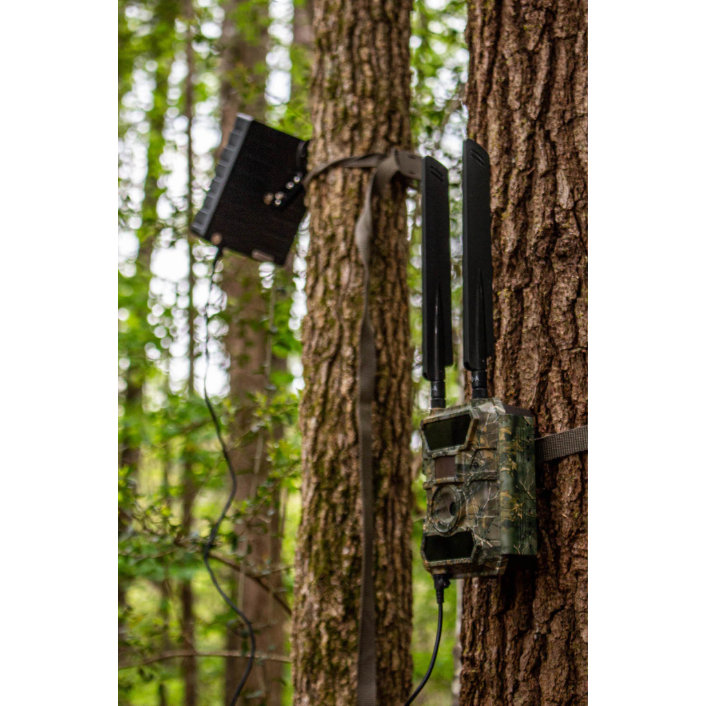 Trail Cameras – Ripping It Outdoors