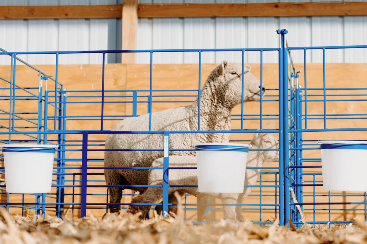 Sydell Standard Wall Mount Add-On Pens | #0102B | 72" Width | For Sheep & Goat Lambing & Kidding Pens