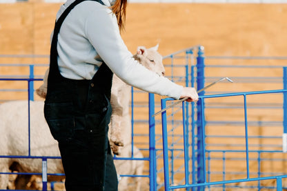 Sydell Standard Wall Mount Starter Pens | #0102A / #0102A-G / #0103A / #0103A-G | 6' Width | For Sheep & Goats