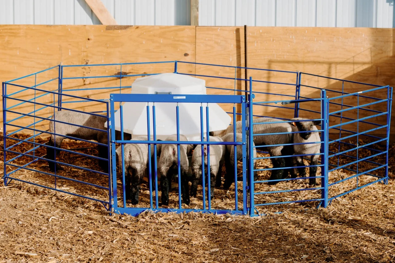 Sydell Complete Creep Feed Area Kit | #0150 | Feeder 400 lb | For Lamb & Kid Sheep & Goat System