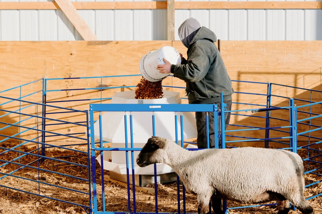 Sydell Complete Creep Feed Area Kit | #0150 | Feeder 400 lb | For Lamb & Kid Sheep & Goat System