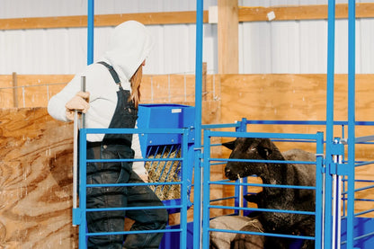 Sydell Deluxe Wall Mount Starter Pens | #0660A Series | 41.5" Height | For Sheep & Goat Lambing/Kidding Pens