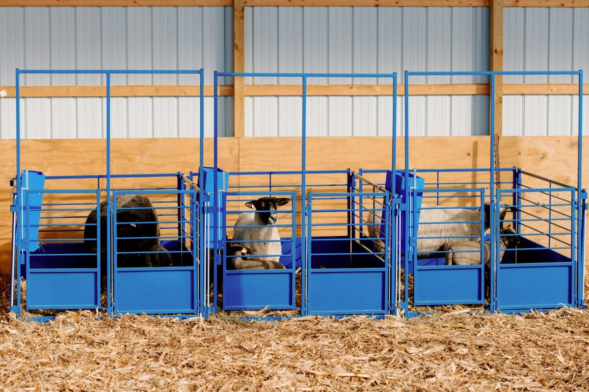 Sydell Deluxe Wall Mount Starter Pens | #0660A Series | 41.5" Height | For Sheep & Goat Lambing/Kidding Pens