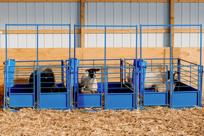 Sydell Deluxe Wall Mount Starter Pens | #0660A Series | 41.5" Height | For Sheep & Goat Lambing/Kidding Pens