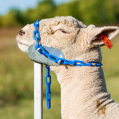Sydell Small Head Piece | #0731-S-1 / #AL0731-S-S | Under 100 lbs | Steel & Aluminum | For Sheep & Goat Handling