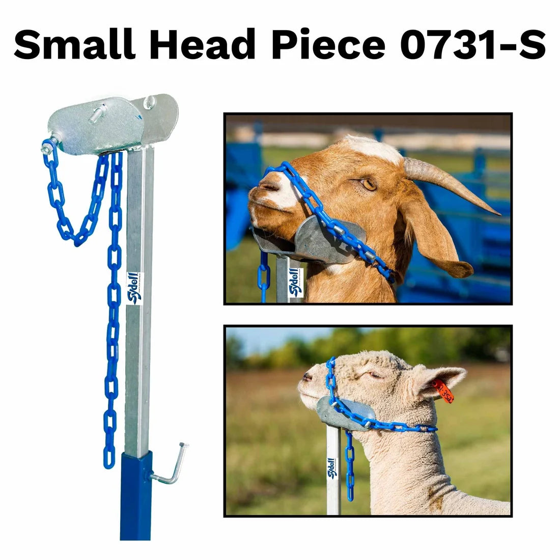 Sydell Small Head Piece | #0731-S-1 / #AL0731-S-S | Under 100 lbs | Steel & Aluminum | For Sheep & Goat Handling