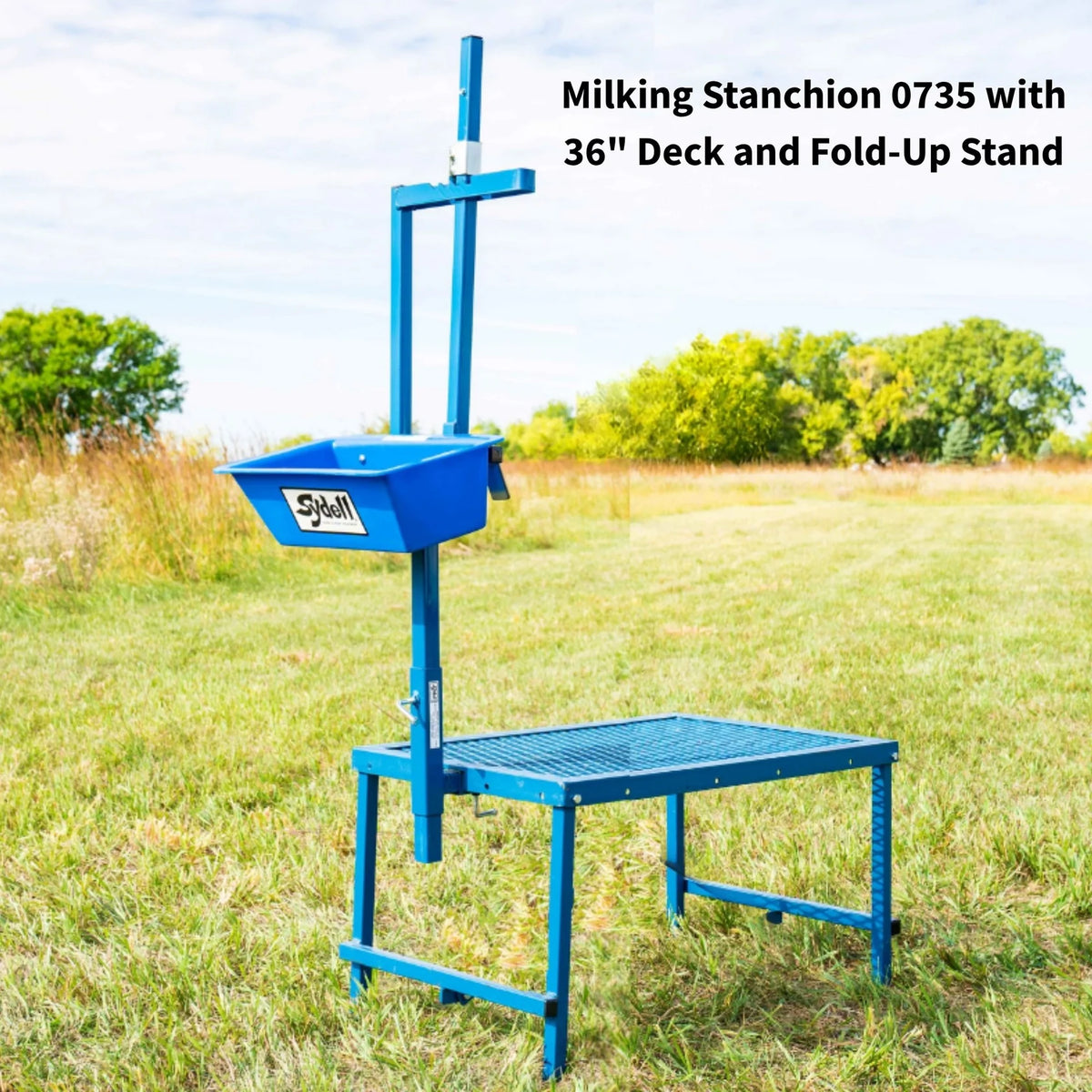 Sydell Milking Stanchion Set | #0736-36 / #0736 | Deck Size 20" x 36" & 48" | For Sheep & Goat