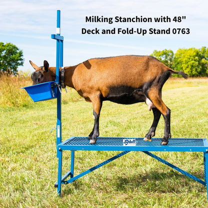 Sydell Milking Stanchion | #0736 | 20" x 48" Deck | Single-Head | Poly Feeder | For Sheep & Goats