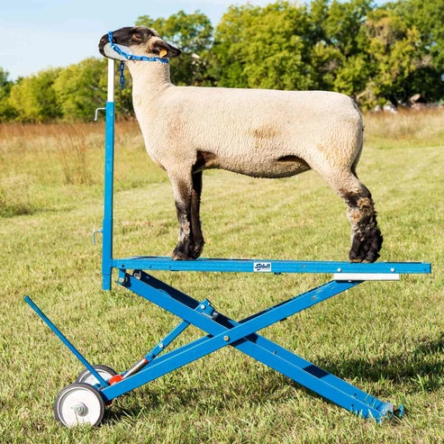 Sydell Hydraulic Stand | #0780 | Deck Size 20" x 48" | For Livestock Show & Grooming