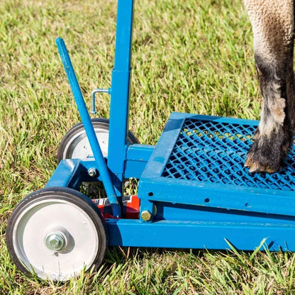 Sydell Hydraulic Stand | #0780 | Deck Size 20" x 48" | For Livestock Show & Grooming