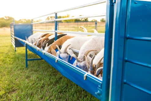 Sydell Starter Horizontal Fenceline Feeder | 0815HP / 0817HP / 0815HG / 0817HG | 49" Long | 25 1/2" Wide | 42" To 50" High | For Sheep & Goats