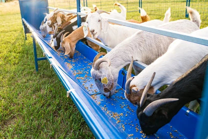 Sydell Starter Horizontal Fenceline Feeder | 0815HP / 0817HP / 0815HG / 0817HG | 49" Long | 25 1/2" Wide | 42" To 50" High | For Sheep & Goats