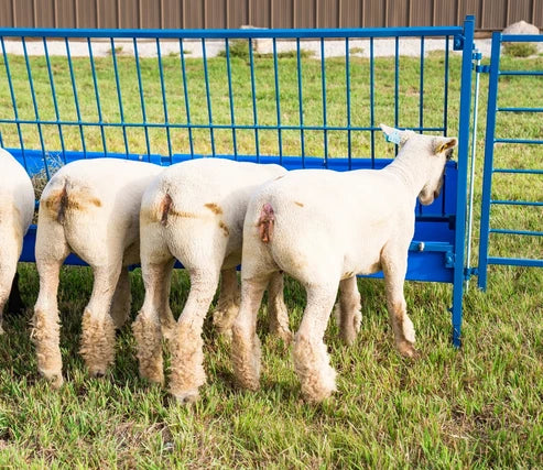 Sydell Starter Vertical Fenceline Feeder | #0815P & #0817P | Size 49 1/4" & 97 1/4" | For Sheep & Goats