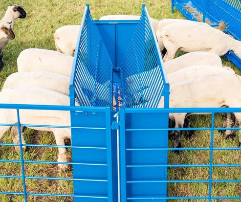 Sydell 2-Sided Vertical Combination Feeder | 0824P/0826P | 25 1/2" Width | SIze 4' & 8' | For Sheep & Goats