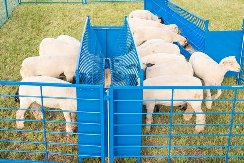 Sydell 2-Sided Vertical Combination Feeder | 0824P/0826P | 25 1/2" Width | SIze 4' & 8' | For Sheep & Goats