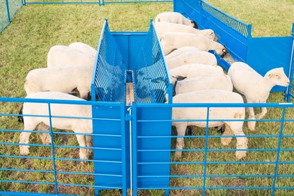 Sydell 2-Sided Vertical Combination Feeder | 0824P/0826P | 25 1/2" Width | SIze 4' & 8' | For Sheep & Goats