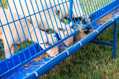 Sydell Starter Vertical Fenceline Feeder | #0815P & #0817P | Size 49 1/4" & 97 1/4" | For Sheep & Goats
