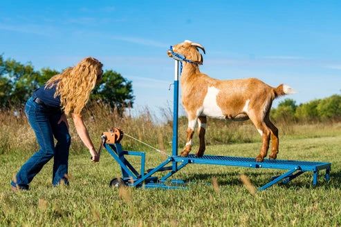 Sydell Winch Blocking Stand | #0750 | 20" x 48" Deck | For Adjustable Sheep & Goat Show Stand