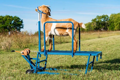 Sydell Safety Rails | #0721 | Stands & Milking Stanchions | For Sheep & Goats