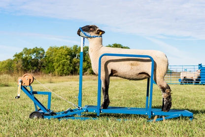 Sydell Winch Blocking Stand | #0750 | 20" x 48" Deck | For Adjustable Sheep & Goat Show Stand