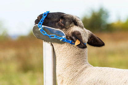 Sydell Aluminum Headpiece | #AL0731-L / #AL0731-S / #AL0730 | Small, Large & Nose Loop | For Sheep & Goats