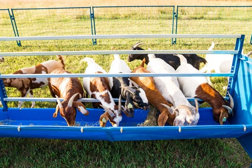 Sydell Starter Horizontal Fenceline Feeder | 0815HP / 0817HP / 0815HG / 0817HG | 49" Long | 25 1/2" Wide | 42" To 50" High | For Sheep & Goats