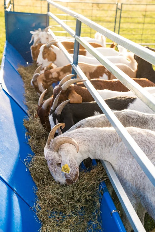Sydell Fenceline Feeder Add-On | #0816HP / #0818HP | Height 42" To 50" | Length 49" | Width 25 1/2" | For Sheep & Goat