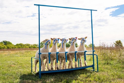 Sydell 5-Head Show Rail | #0740-5COMP / #0740-5 / #0741-5 / #0742 | Size 76" x 46" | For Sheep & Goats