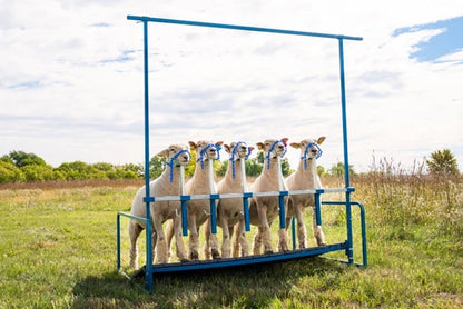 Sydell 5-Head Show Rail | #0740-5COMP / #0740-5 / #0741-5 / #0742 | Size 76" x 46" | For Sheep & Goats