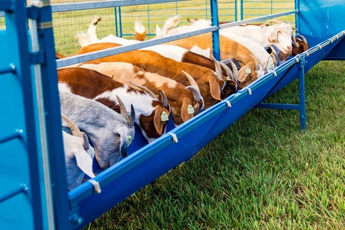 Sydell Starter Horizontal Fenceline Feeder | 0815HP / 0817HP / 0815HG / 0817HG | 49" Long | 25 1/2" Wide | 42" To 50" High | For Sheep & Goats