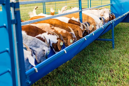 Sydell Starter Horizontal Fenceline Feeder | 0815HP / 0817HP / 0815HG / 0817HG | 49" Long | 25 1/2" Wide | 42" To 50" High | For Sheep & Goats