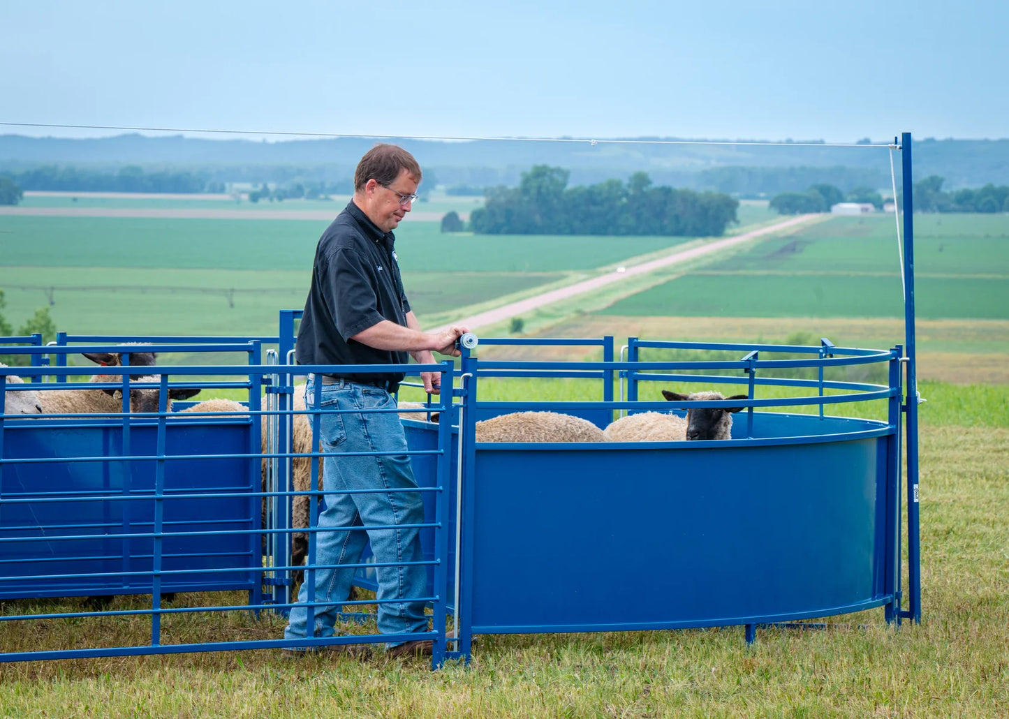 Sydell Slide Swing Gate | #0943-8 / #0943-8-G | 93 3/8" Width | For Sheep & Goat Corral Systems
