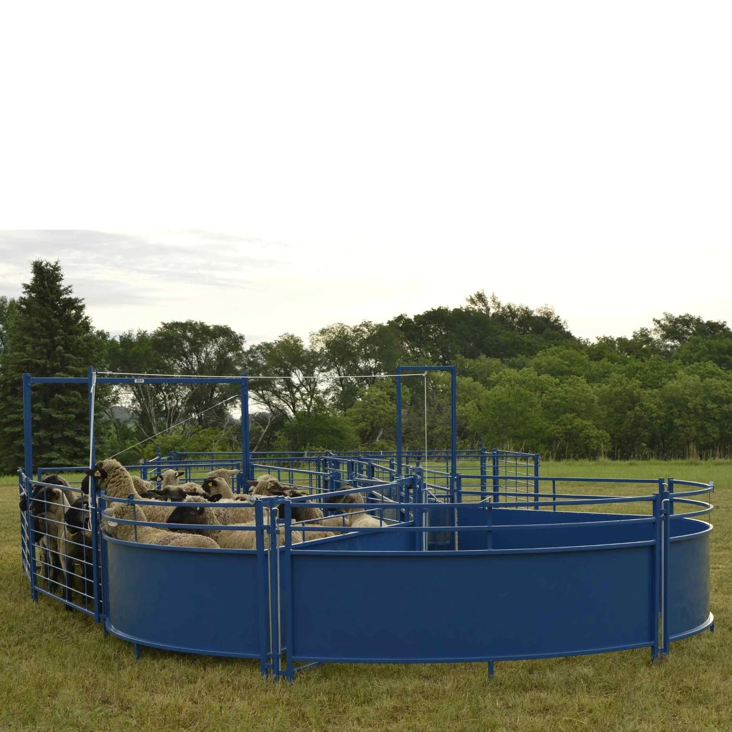Sydell Sorting Tub | #0992TUB | 14' Diameter | 360 lb | For Sheep & Goat Corral System