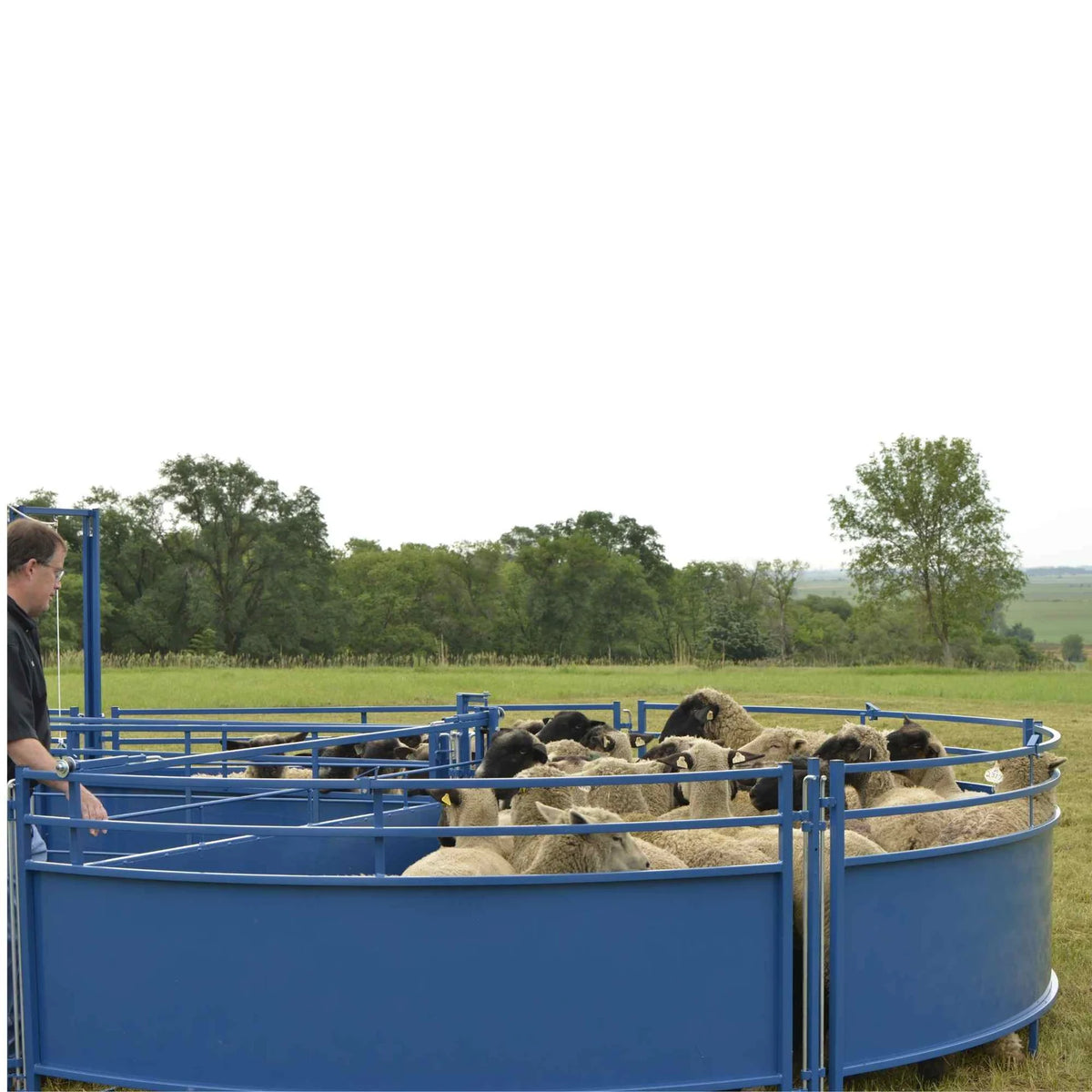 Sydell Sorting Tub | #0992TUB | 14' Diameter | 360 lb | For Sheep & Goat Corral System