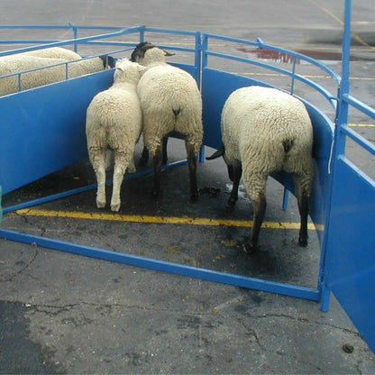 Sydell Complete Corral Working System D | #0994 | 26'9" x 10'5" | For Sheep & Goat Handling System