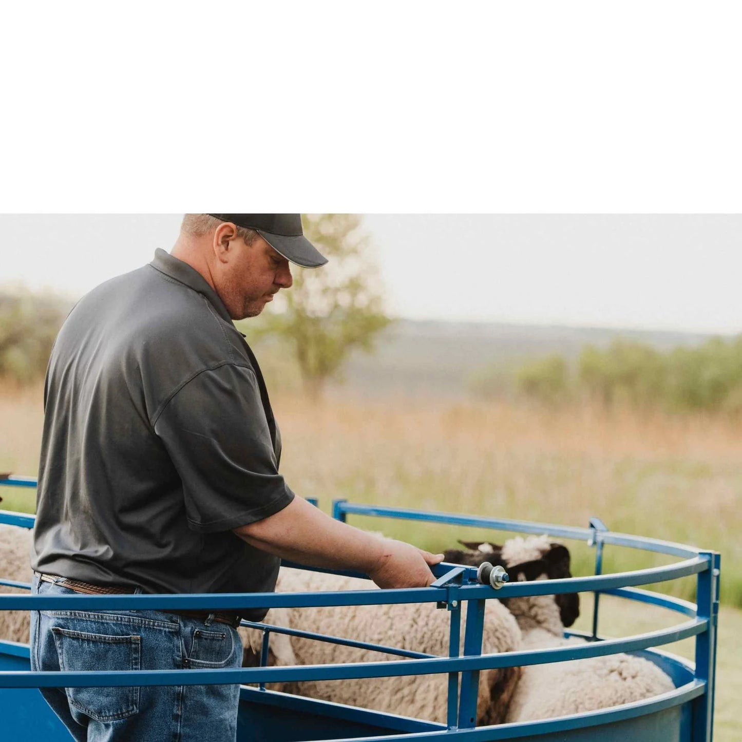 Sydell Tub Only | #0994TUB | 10'5" L x 7'1" W | For Sheep & Goat Handling Corral Systems