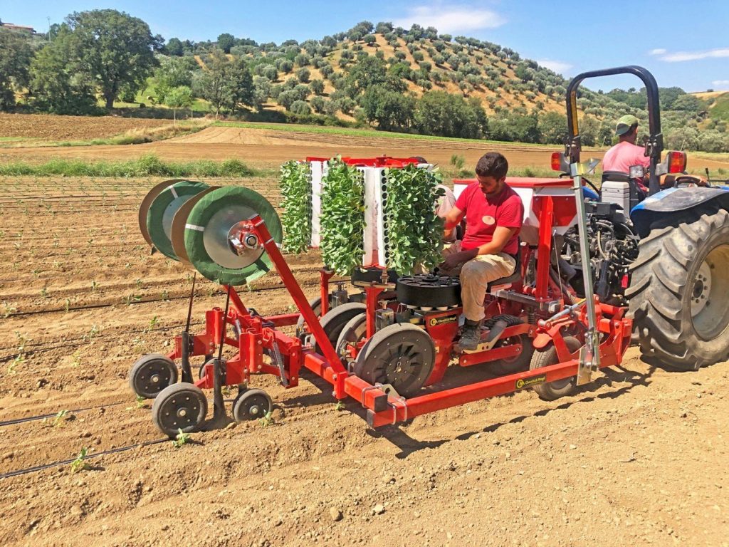 2 row tobacco setter for sale Checchi & Magli Transplanter Unitrium45 | 1-6 Rows 2 row tobacco setter for sale Checchi & Magli Transplanter Unitrium45 | 1-6 Rows