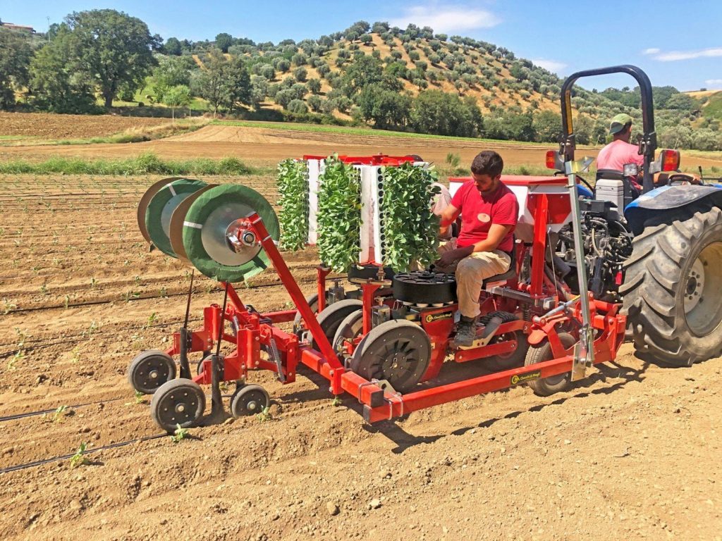 Checchi & Magli Transplanter Unitrium45 | 1-6 Rows | 79"-157" Frame Width | 22-45HP For Tractor